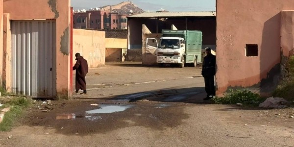 开云APP-TA：为筹备2030年世界杯，摩洛哥正在全国范围内扑杀流浪狗